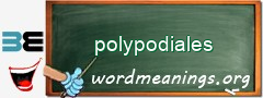 WordMeaning blackboard for polypodiales